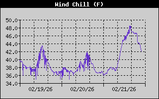Wind Chill History
